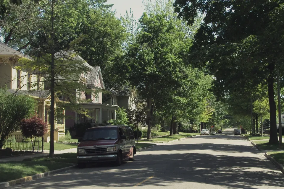 A shaded residential street of late nineteenth-century houses with mature trees along the verge